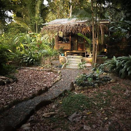 Villa Cafe de la Suerte à Pavones  Extérieur photo